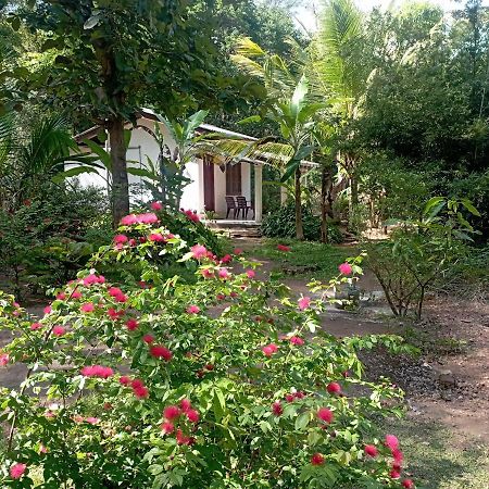 Sanjana Home Stay Habarana Exterior foto