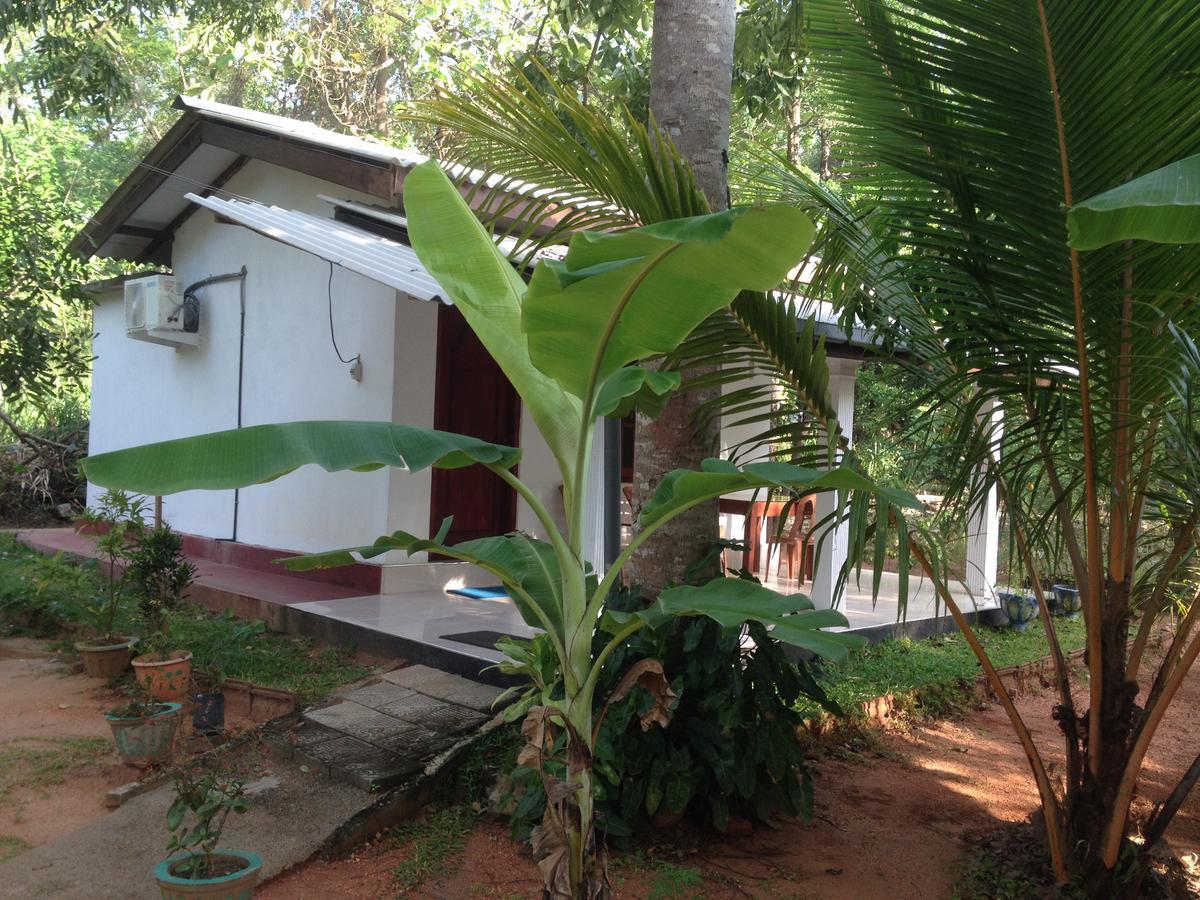 Sanjana Home Stay Habarana Exterior foto